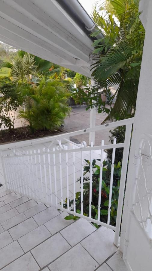 Coconing Logements Studios Et Maisons แซนต์-อาน ภายนอก รูปภาพ