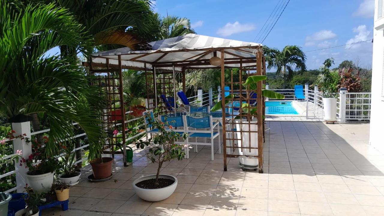 Coconing Logements Studios Et Maisons แซนต์-อาน ภายนอก รูปภาพ