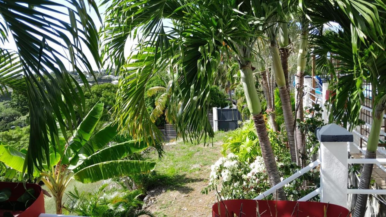Coconing Logements Studios Et Maisons แซนต์-อาน ภายนอก รูปภาพ